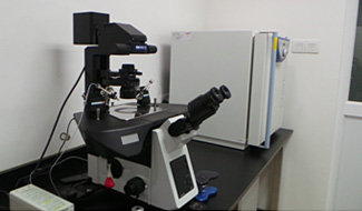 Laboratory 3