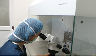Embryologist in action – during egg retrieval